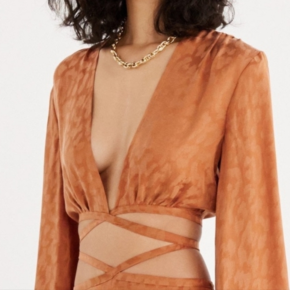 RUMER Kenya Animal Print Cheetah Long-Sleeve Wrap Crop Top, Burnt Orange, S - Picture 3 of 11